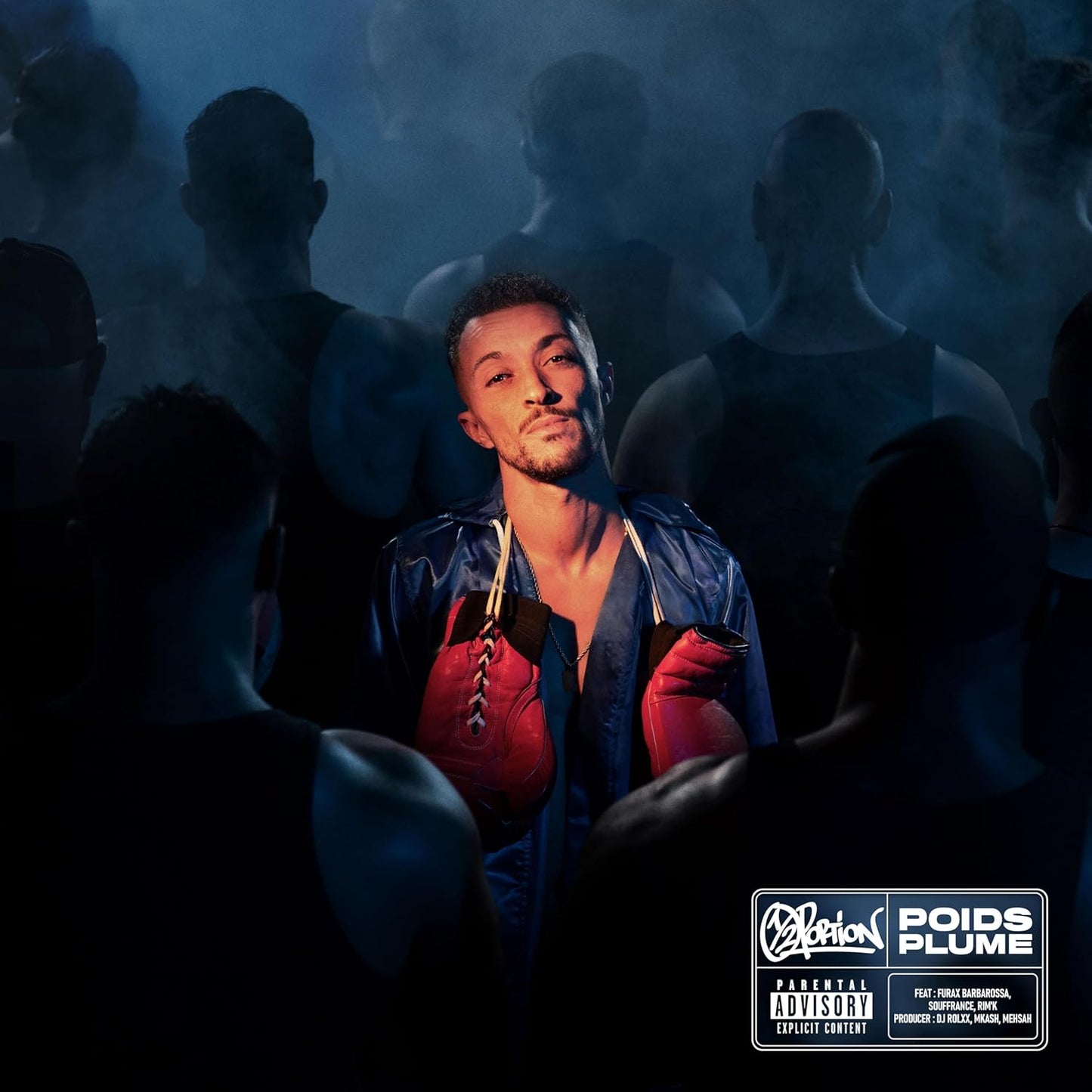 DEMI PORTION - POIDS PLUME ( VINYLE )